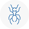 Ant Removals In Littlehampton