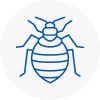 Bed Bug Extermination In Littlehampton