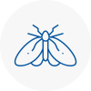 Moth Control Specialists In Littlehampton